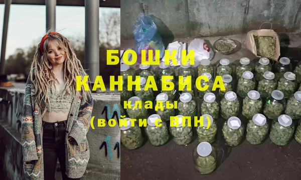 гидра Горняк