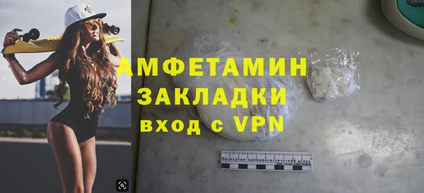 прущая мука Вяземский