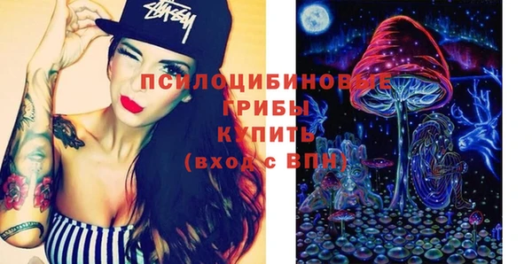 гидра Горняк