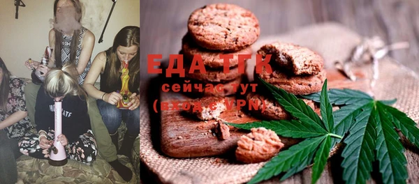 гидра Горняк