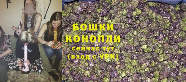сатива Горно-Алтайск