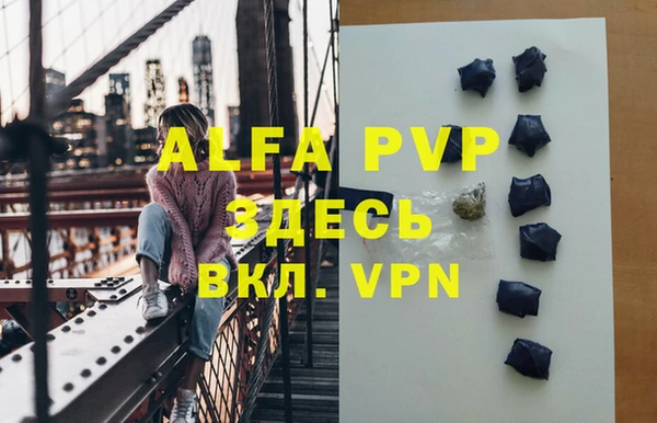 гидра Горняк