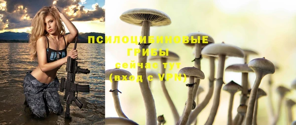 гидра Горняк