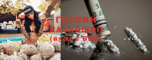 гидра Горняк