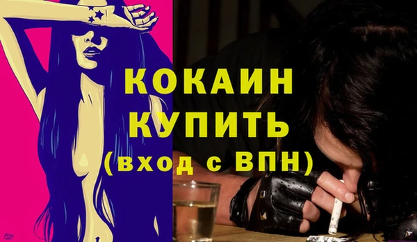 гидра Горняк