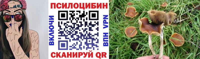 Псилоцибиновые грибы мухоморы  Купить закладки  Красноуральск 